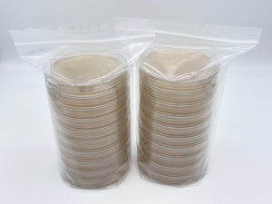 20 Potato Dextrose Yeast Agar Petri Dishes