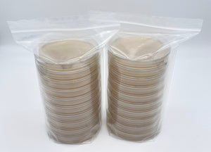 20 Water Agar Petri Dishes